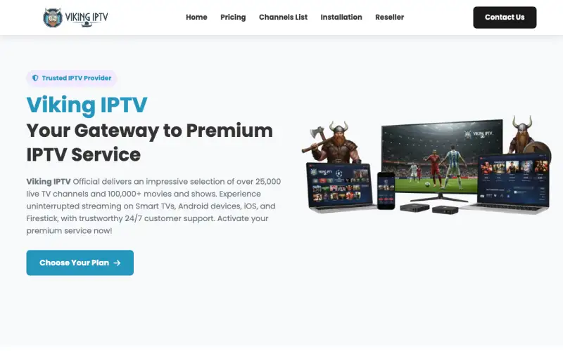 Homepage of Viking IPTV Official at ww1.vikingiptvofficial.com